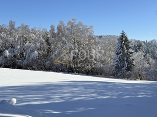 Zemljišče Ravna Gora, 2.659m2