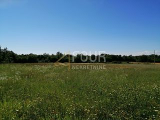 Zemljišče Sveti Lovreč, 2.000m2
