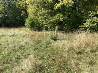 Zemljišče Stari Laz, Ravna Gora, 3.972m2