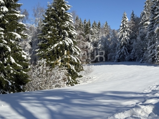 Zemljišče Ravna Gora, 3.115m2