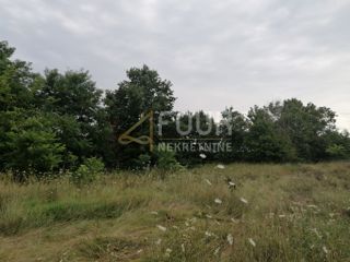 Zemljišče Kringa, Tinjan, 3.541m2