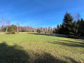 Zemljišče Ravna Gora, 12.519m2