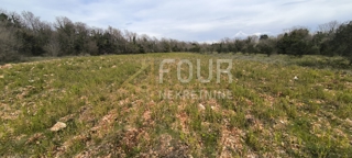 Zemljišče Marčana, 7.517m2