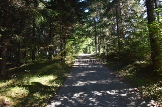 Hiša Tršće, Čabar, 250m2