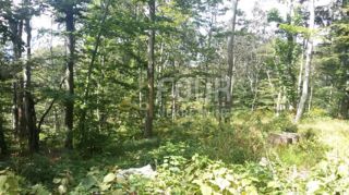 Zemljišče Škrljevo, Bakar, 29.685m2