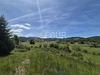 Zemljišče Ravna Gora, 11.500m2