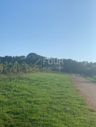 Zemljišče Kršikla, Pazin - Okolica, 45.000m2