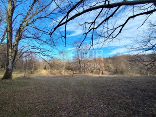 Zemljišče Saršoni, Viškovo, 2.892m2