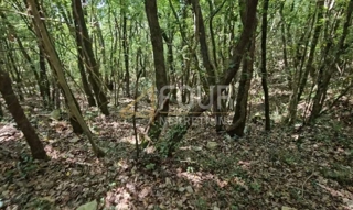 Istra, Marčana - okolica, kmetijsko zemljišče