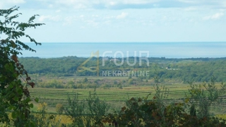 Zemljišče Buje, 1.341m2