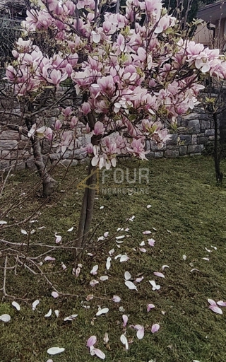 Reka, Pehlin, samostojna hiša - samo pri nas!