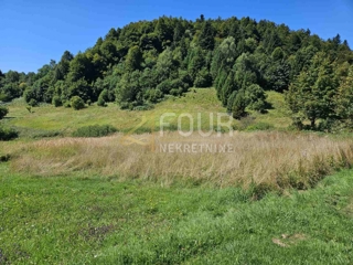 Zemljišče Crni Lug, Delnice, 2.219m2