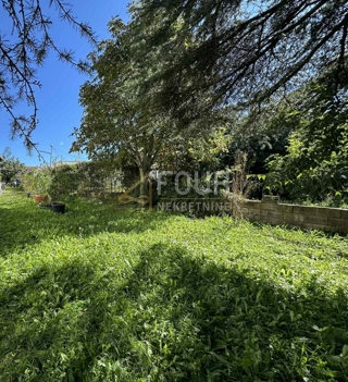 Hiša Mušalež, Poreč, 750m2