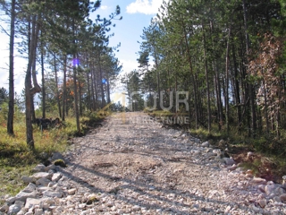 Istra, Gračišče -območje, zemljišče za gradnjo/kmetijstvo, 39.091m2