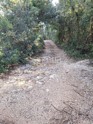 Zemljišče Kavran, Marčana, 323m2