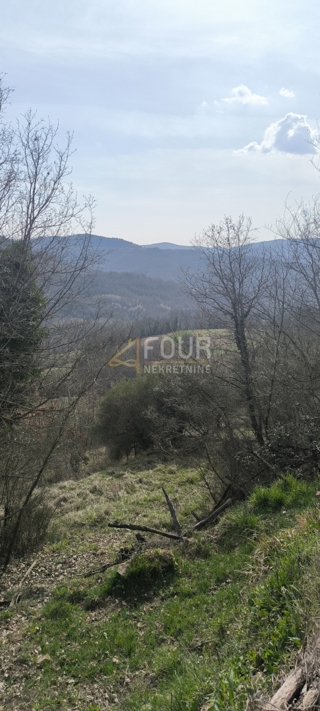 Istra, Buzet - okolica, kmetijsko zemljišče.