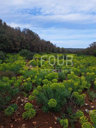 Zemljišče Punta Križa, Mali Lošinj, 7.232m2