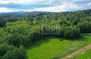 Zemljišče Ravna Gora, 6.301m2