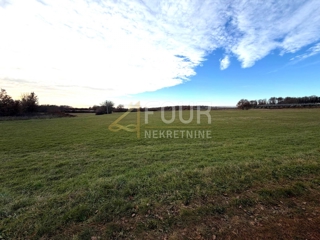 Istra, Poreč - okolica, kmetijsko zemljišče