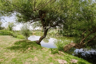 Karlovac - okolica, čudovit posest v bližini Korane