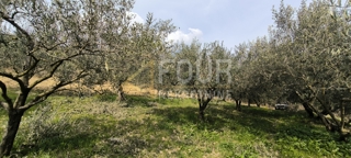 Istra, Buzet - okolica, kmetijsko zemljišče