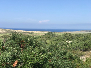 PAG - KOLAN, PRODAJA VILE 190 M2, NOVO, BAZEN, POGLED!!!