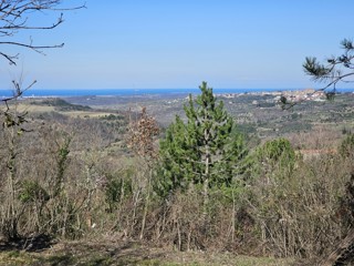 Gradbena Parcela s Pogledom na Morje pri Bujah – 1000 m², Zadnja v Gradbeni Coni