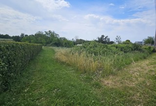 Gradbena parcela Kaštelir