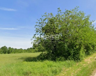 Okolica Poreča - Gradbeno zemljišče 7 km od morja