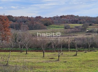 Poreč 16 km, okolica Vižinade - Gradbeno in kmetijsko zemljišče, čudovita lokacija in popoln mir