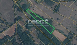 Okolica Višnjana - Kmetijsko zemljišče na robu naselja