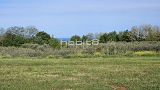 Poreč 13 km - Gradbeno + kmetijsko zemljišče z lepim odprtim razgledom + gradbeno dovoljenje