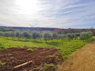 Mirna lokacija in zazidljivo zemljišče, primerno za gradnjo intimne počitniške hiše