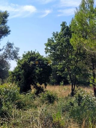 Medulin, zazidljivo zemljišče obdano z zelenjem, pogled na morje, 1,5 km od plaže