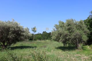 Zemljišče Duga Uvala, Marčana, 1.200m2