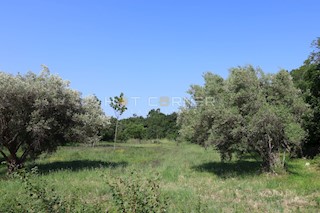 Zemljišče Duga Uvala, Marčana, 1.200m2