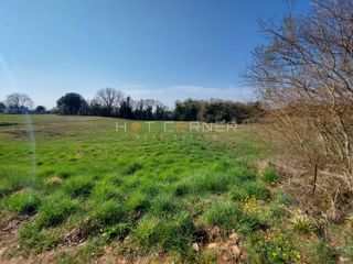 Zemljišče Šišan, Ližnjan, 4.900m2