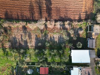 Vikendica s sadovnjakom & olivami – samo €150k v Banjolama!