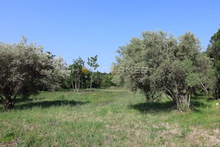 Zemljišče Duga Uvala, Marčana, 1.200m2