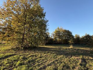 Barban – Gradbena parcela v mirnem in zelenem okolju