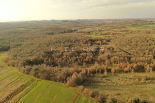 Kmetijsko zemljišče Vrsar, 6.600m2