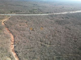 50.848 m² gozda in livad – le 3,5 €/m²!