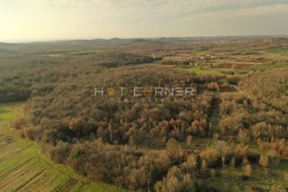 Kmetijsko zemljišče Vrsar, 8.000m2