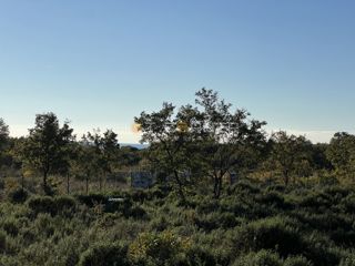 Zemljišče Barbariga, Vodnjan, 999m2
