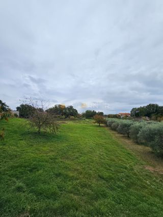 Čudovita zazidljiva parcela v bližini Rovinja – 5.060 m²