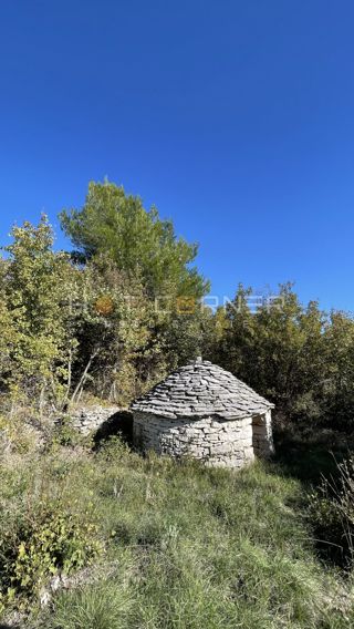 Zemljišče Cukrići, Svetvinčenat, 24.000m2