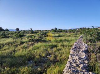 Zemljišče, Prodaja, Kmetijska površina