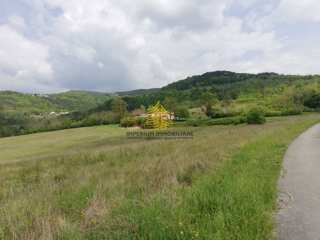 Zemljišče, prodaja, Motovun, Sveti Bartol, 53183 m2, zazidljivo zemljišče
