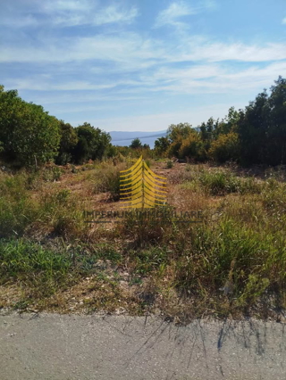 Zemljišče, prodaja, Jasenice, Maslenica, 548 m2, zazidljivo