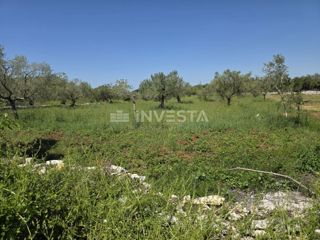 Okolica Fažane, prostorno in urejeno kmetijsko zemljišče